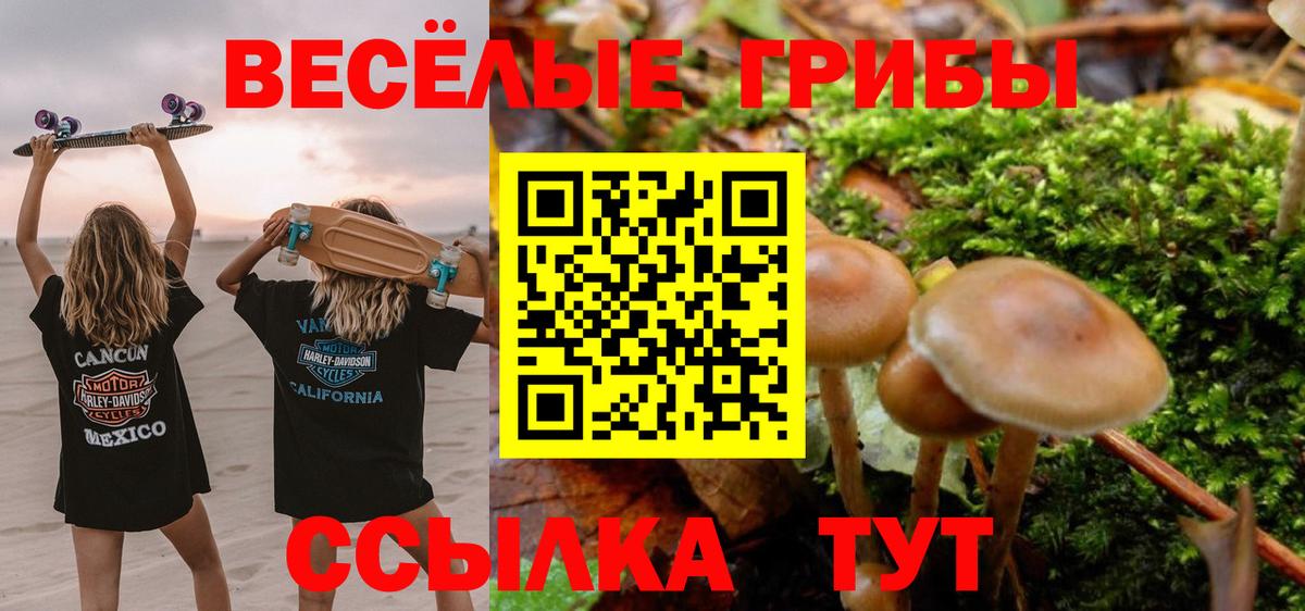 Апатиты  Псилоцибиновые грибы Psilocybine cubensis  магазин продажи наркотиков  Вход с VPN 