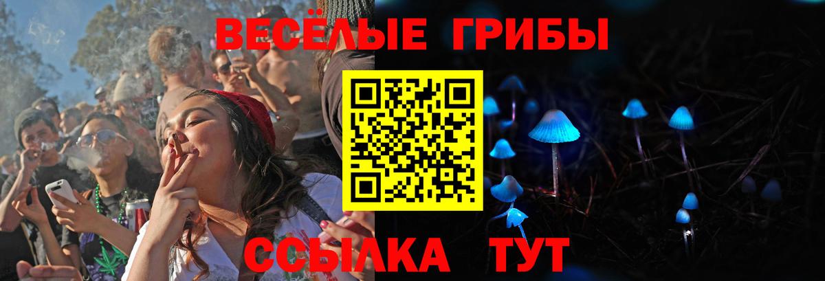 Галлюциногенные грибы Cubensis Апатиты